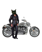 Show your love of Cats and Bikes with this cool design, available in many sizes and colors.