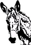 Donkey t-shirts and clothing for those with a passion for donkeys and burros. Click on a donkey design below to see it on heaps of kids, girls and adult clothes.