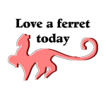 Click on a design below to see it on a variety of ferret lover t-shirts and other clothing.