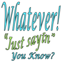 Just plain sarcastic! Know someone who uses these anoying phrases. They are sure to love this t-shirt, sweat shirt, whatever, just sayin, you know