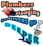 rencontre nouveaux arrivants nantes