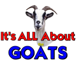 Just in case people have to guess.. this Alpine Goat lets them know right on this cool goat t-shirt.. It is ALL about the Goats. Goat T-shirts make great gifts for that someone who seems to have everything.. Except maybe a Goat T-shirt.
