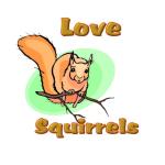 Click on one of the squirrel designs below to see it featured on a range of t-shirts and other casual clothing for squirrel loving kids and adults.