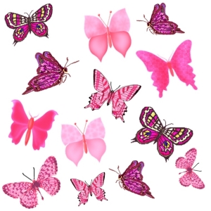 Patterned Butterflies