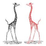 Click on one of the great giraffe designs below to see it featured on a range of t-shirts and other casual clothing for giraffe loving kids and adults.