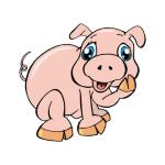 Click on one of the pig designs below to see it featured on a range of t-shirts and other casual clothing for pig loving kids and adults.