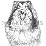 Sweet detailed line art Collie Head - Smiling Collie will bring a smile to anyone's face. Dog art features a sable collie in tones of grey or solid white on dark items, from Danes-R-Us.