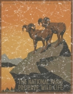 National Park Preserve Wildlife is a vintage poster from 1936. This retro t-shirt has a distressed look as though you've had it for years.