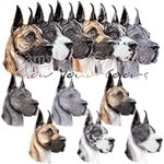 "Show Your Colors" Group Representation from Danes-R-Us. Also available as Individual Bust artwork in approved show coat colors: Black, Blue, Brindle, Fawn, Harlequin & Mantle. ©danesrus, danesrus.com