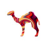 Click on one of the camel designs below to see it featured on a range of t-shirts and other casual clothing for camel loving kids and adults.