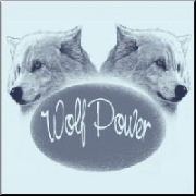 A design for wild animal and wolf lovers - two wolves heads in shades of pale blue, above the words "Wolf Power"