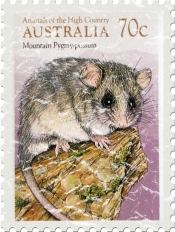 This Australian stamp shows the Mountain Pygmy Possum. Weighing only 45g, they are on the endangered species list. These shirts have a slightly distressed look for an aged appearance.