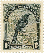 This New Zealand stamp was issued in 1935 and shows a Tui, or Parson Bird, a native bird. This design has a lightly distress look for an aged appearance.