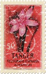 This beautiful stamp from Tanger, Africa has a pink flower against a red background. The shirts have a lightly distressed look for an aged appearance.