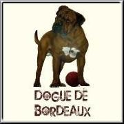 A beautiful airbrush painting of a French Mastiff - or Dogue de Bordeaux - for lovers of these large but friendly animals.