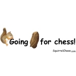 A basic shirt design with the <a href="http://squirrelchess.com">Chess Squirrel</a> going after a peanut on the front or back of the shirt.