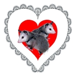 Opposum Love! Two cute little baby possums in fancy valentine heart by Deleas Kilgore. Available on a large variety of apparel, t-shirts and gift items.