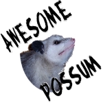 Here's another awesome possum design - this one's a head shot! Design by Deleas Kilgore. Available on a large variety of apparel, t-shirts and gift items.