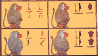 This is only a small part of a much larger mural. There are six snakes followed by six baboons and is thought to be a calendar.