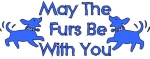 Two dogs play happily between the special blessing: "May the furs be with you." How can your life not be great with such a fine wish from your fur babies?