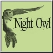 A flying owl for night-active people. Night Owl - a unique design for you if you make the night your day!