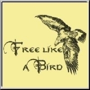 An eagle in flight - "Free like a Bird" - a design for freedom lovers and bird spotters!