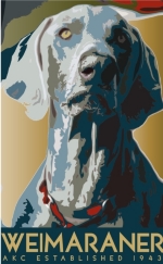 The AKC established the Weimaraner Breed in 1943. Educate the world about the Mighty Weimie!