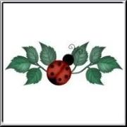 Cute country style art ladybug design. The colorful bug is siiting on some leaves - a cute design with a difference, get a ladybug for luck!