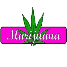 Perfect Pot Leaf
