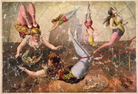 This vintage circus poster shows women on the flying trapeze. The poster has no marks on it to indicate which circus it belongs to. The design has a lightly distressed look as though you've had it for years.
