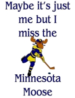 If you are a Minnesota hockey fan with a sense of hockey history then this design on a sweatshirt or t-shirt is perfect for you.