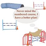 A humorous look at dog agility when the dog decides "Nevermind the numbered course, I have a better plan." Sometimes the dog has a sense of humor and with these agility shirts we hope you do too.
