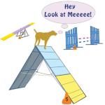 On this dog agility tee shirt the dog stands atop an aframe looking proud. The dog's thought bubble says it all "Hey Look at Meeeee!" We've all seen those funny dogs that enjoy the view from the top of the a-frame.