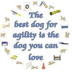 Agility is a game you play with your dog. Agility is part time, living with your dog is full time. So the place to start is with a dog you can love. The best dog for YOU for agility is the dog you can love.