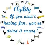 These dog agility tee shirts, tank tops, and sweat shirts remind us about WHY we do agility - Fun. So if you aren't having fun you are doing it wrong. If you have made dog agility into a chore or work - wrong. Have fun, that's the agility way.