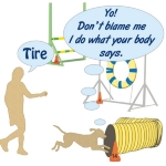 Maybe it is just as well that we can't hear what our dogs are thinking. This agility shirt shows the dog ducking into the tunnel while the handler yells "Tire". The dog's thought bubble explains "Yo! Don't blame me I do what your body says"