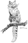 One of Harry Rountree's illustrations for Lewis Carroll's <i>Alice in Wonderland.</i>