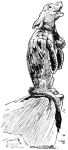 One of Harry Rountree's illustrations for Lewis Carroll's <i>Alice in Wonderland.</i>