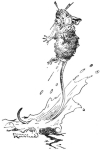 One of Harry Rountree's illustrations for Lewis Carroll's <i>Alice in Wonderland.</i>