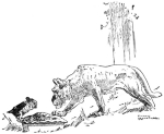One of Harry Rountree's illustrations for Lewis Carroll's <i>Alice in Wonderland.</i>