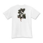 A great selection of kids shirts with amazing, hard to find illustrations of your favorite plants and wildflowers.
