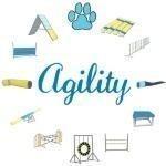 Agility - what could be simpler? Enjoy this dog agility design on a wide variety of long sleeved, short sleeeved, and sleeveless apparel. There is a wide choice of colors, styles and sizes. Get one as a gift for your favorite agility person.