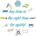 Is it sunny? Time for dog agility! Is it cool and gloomy? The dog loves it - must be the right time for agility. Any time is the right time for agility. This dog agility design appears on Women's Ts, Men's Tank, other varieties of apparel.