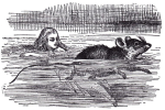 From Alice in Wonderland, written by Lewis Carroll and illustrated by Sir John Tenniel.