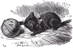 From Through the Looking Glass, written by Lewis Carroll and illustrated by Sir John Tenniel.