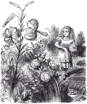From Through the Looking Glass, written by Lewis Carroll and illustrated by Sir John Tenniel.