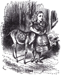 From Through the Looking Glass, written by Lewis Carroll and illustrated by Sir John Tenniel.