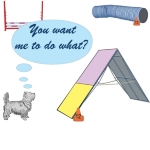 The little dog stands at the bottom of the A-frame and asks if you are truly serious that he should climb that mountain. A cute dog agility cartoon on tee shirts, sweats, tanks and other apparel.