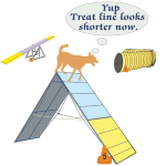 A humorous look at those dogs who just have to stop at the top of the a-frame and check out the sights. We can't ask them what they are thinking but this dog agility tee-shirt design suggests one dog is looking over the length of the dog treat line.