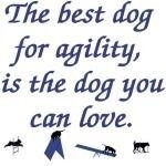 Before you think about what kind of dog you can win with, think about what kind of dog you can live with. Agility is a game you can play with the dog you love.
